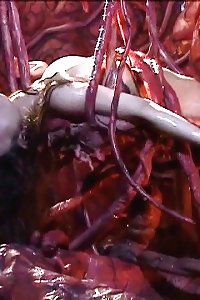 korean - porn - Random - bondage & Tentacles