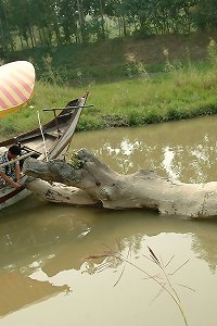 asian torturous first-ever time